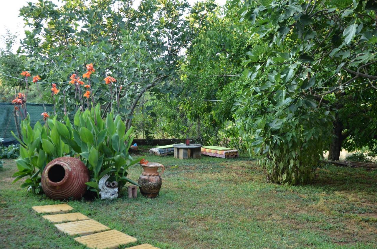Villa Doloi Garden House Málta Exterior foto
